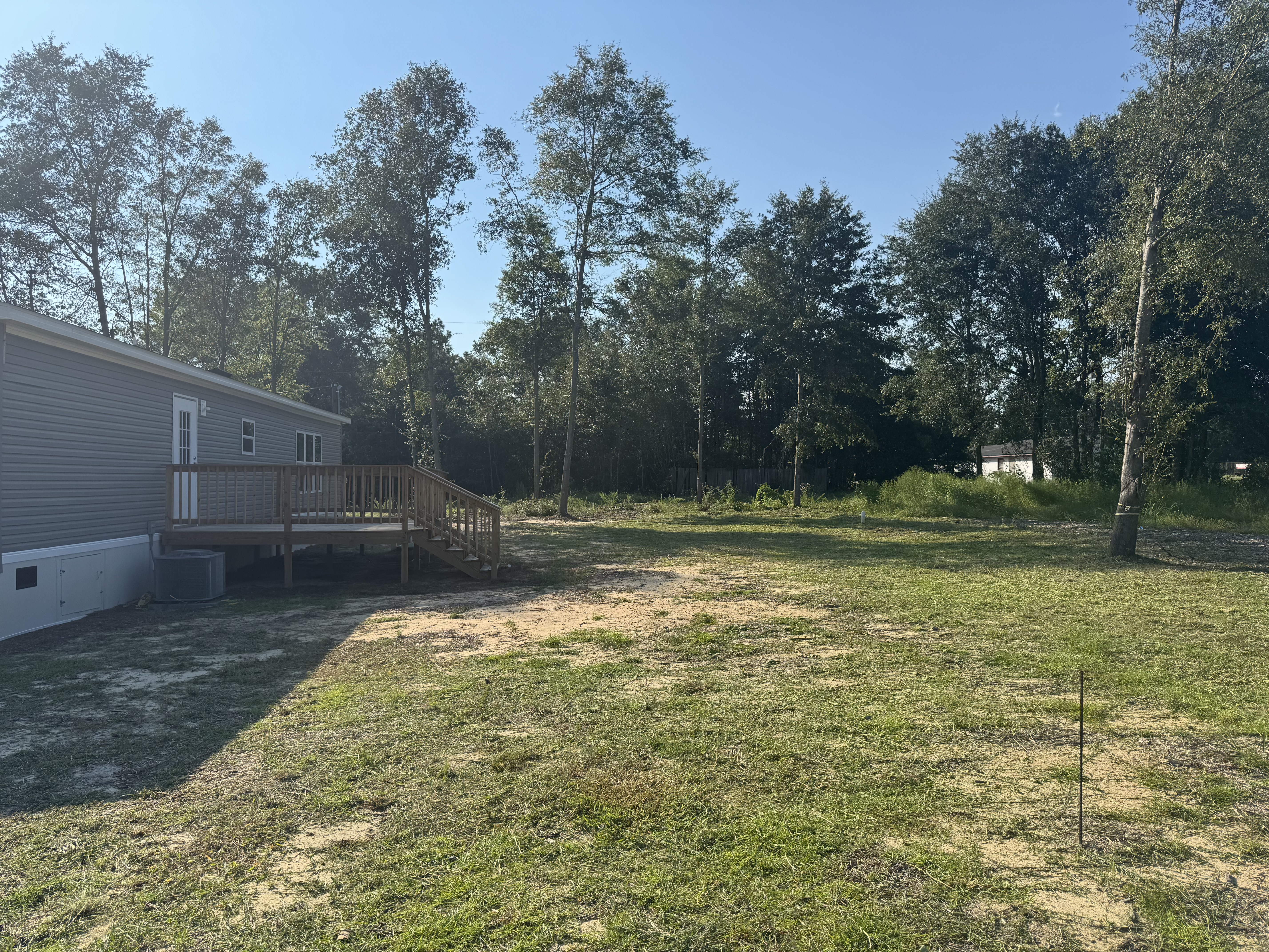 Lawn clean up (After)